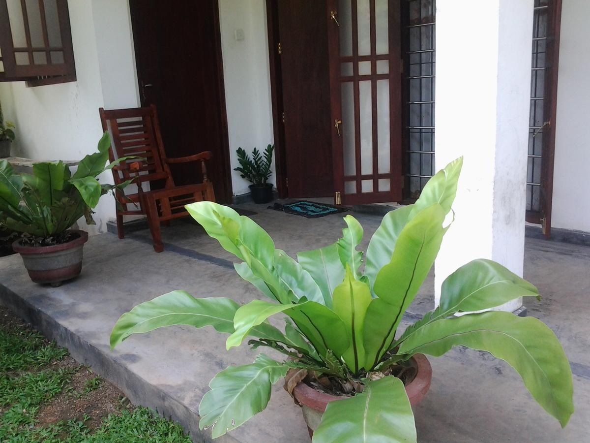 Orchid Villa #10 Hikkaduwa Exterior foto