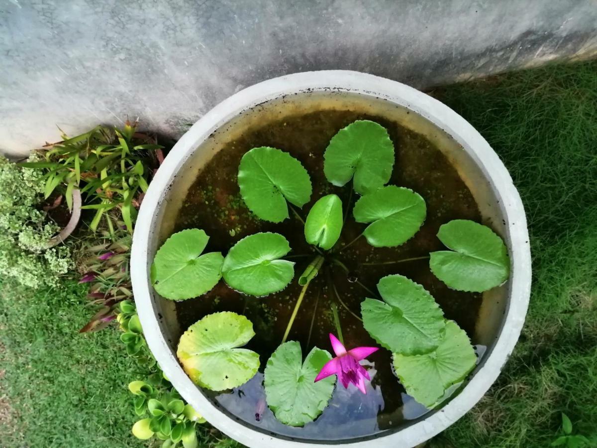 Orchid Villa #10 Hikkaduwa Exterior foto