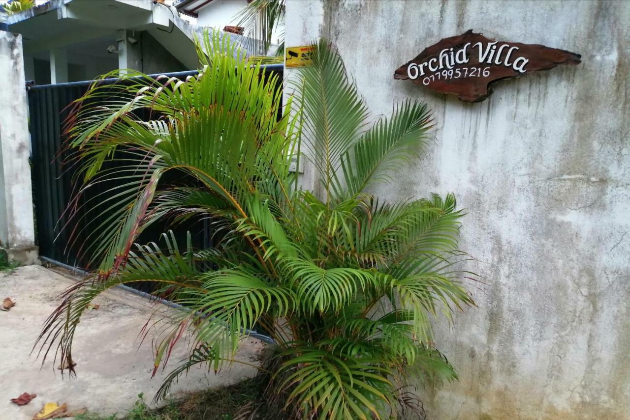 Orchid Villa #10 Hikkaduwa Exterior foto
